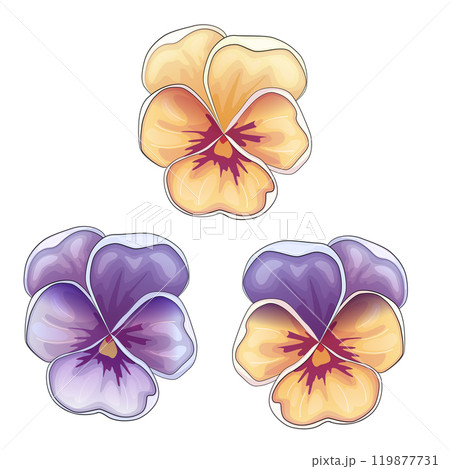 Realistic vector flowers petals buds bouquets. Anemones, peonies, pansies, magnolia 119877731