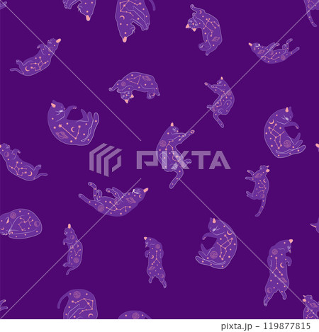 Mystical seamless pattern of cats in boho style, silhouette collection. Witchcraft and magic 119877815