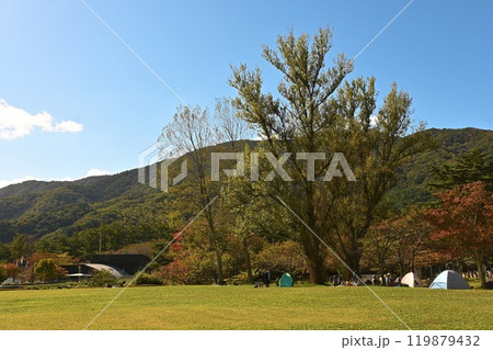郡山石筵(いしむしろ)ふれあい牧場の紅葉 郡山石筵(いしむしろ)ふれあい牧場の紅葉 119879432