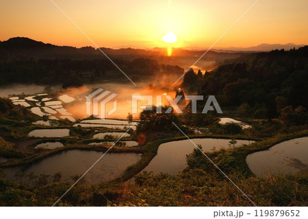 峠の棚田2024 119879652