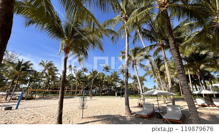 砂浜でビーチボール 119879676