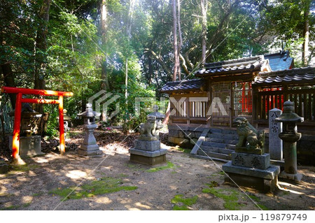 夏秋の奈良、天の香具山、藤原京跡、コスモス、春過ぎて夏来にけらし白妙の 衣ほすてふ天の香具山、秋桜 119879749