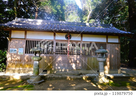 夏秋の奈良、天の香具山、藤原京跡、コスモス、春過ぎて夏来にけらし白妙の 衣ほすてふ天の香具山、秋桜 119879750