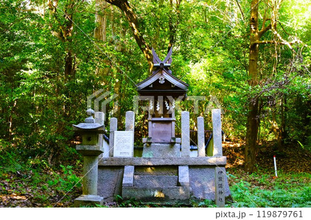 夏秋の奈良、天の香具山、藤原京跡、コスモス、春過ぎて夏来にけらし白妙の 衣ほすてふ天の香具山、秋桜 119879761