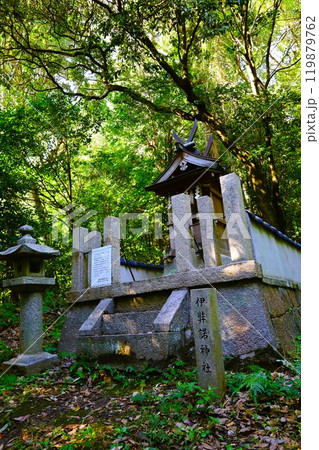 夏秋の奈良、天の香具山、藤原京跡、コスモス、春過ぎて夏来にけらし白妙の 衣ほすてふ天の香具山、秋桜 119879762