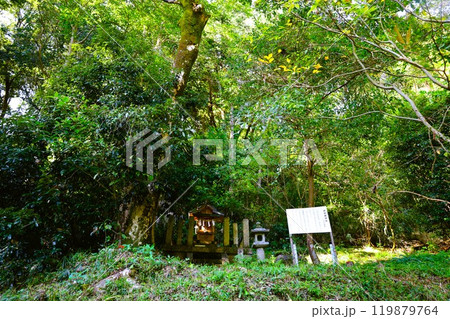 夏秋の奈良、天の香具山、藤原京跡、コスモス、春過ぎて夏来にけらし白妙の 衣ほすてふ天の香具山、秋桜 119879764