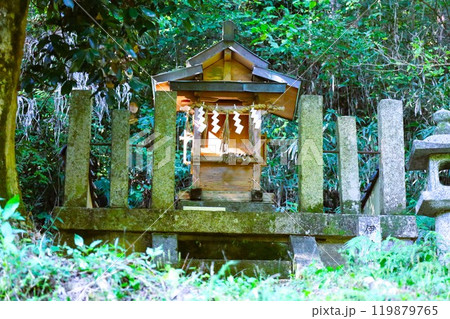 夏秋の奈良、天の香具山、藤原京跡、コスモス、春過ぎて夏来にけらし白妙の 衣ほすてふ天の香具山、秋桜 夏秋の奈良、天の香具山、藤原京跡、コスモス、春過ぎて夏来にけらし白妙の 衣ほすてふ天の香具山、秋桜 119879765