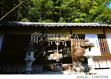 夏秋の奈良、天の香具山、藤原京跡、コスモス、春過ぎて夏来にけらし白妙の 衣ほすてふ天の香具山、秋桜 119879768