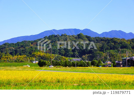 夏秋の奈良、天の香具山、藤原京跡、コスモス、春過ぎて夏来にけらし白妙の 衣ほすてふ天の香具山、秋桜 119879771