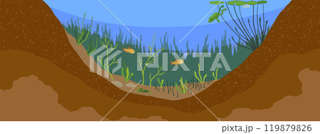 Pond ecosystem. Ecosystem of with different animals in their natural habitat. Pond ecosystem structure for biology lessons. Vector cartoon illustration 119879826