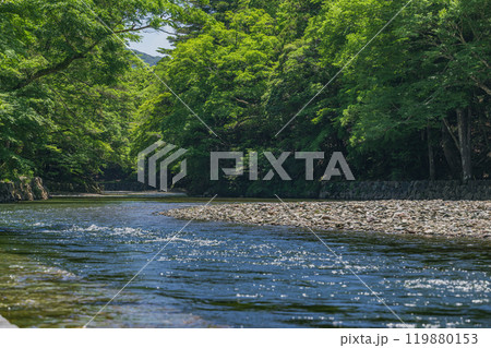 伊勢 五十鈴川の夏景色 伊勢 五十鈴川の夏景色 119880153