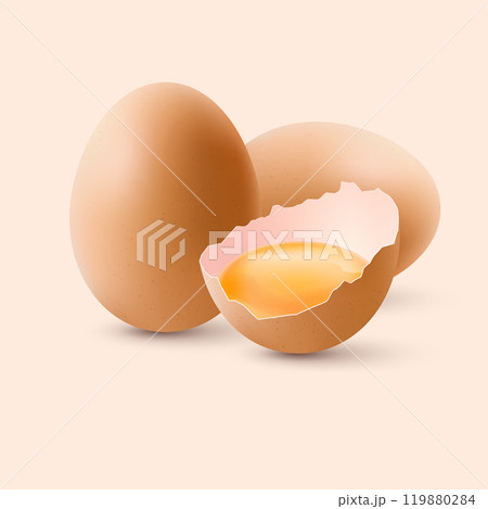 Chicken Eggs 119880284