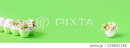 White eggs in egg tray with spring pear and strawberry flowers on green background. Happy Easter concept. Greeting card. Banner 119881148