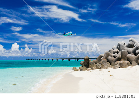 夏空と海と航空機 119881503