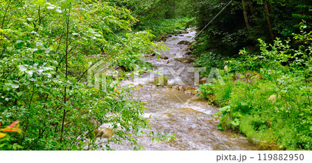 Mountain river with a rocky bed and green forest on the banks. Rainy cloudy weather. Mountain river with a rocky bed and green forest on the banks. Rainy cloudy weather. 119882950