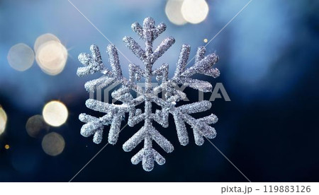 冬を感じるスノーフレークのグリッターデザイン 冬を感じるスノーフレークのグリッターデザイン 119883126