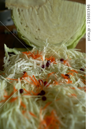 Process of harvesting sauerkraut. Autumn pickling of cabbage. ,cutting cabbage preparation Process of harvesting sauerkraut. Autumn pickling of cabbage. ,cutting cabbage preparation 119883346