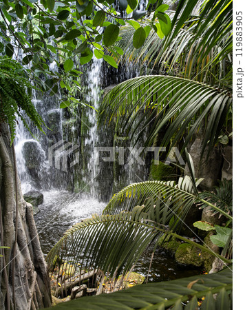 Jungle Landscape with Waterfall , Tropical Background 119883905