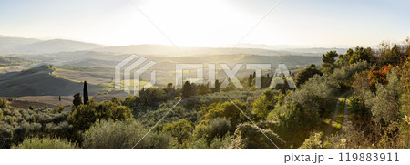 Tuscany landscape at sunrise. Typical for the region tuscan farm house, hills, vineyard. Italy 119883911