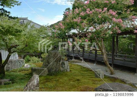 六道庭 南禅寺庭園(京都市左京区) 六道庭 南禅寺庭園(京都市左京区) 119883996