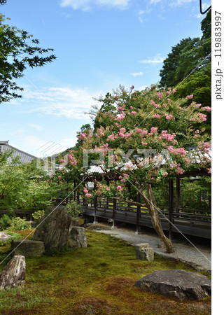 六道庭 南禅寺庭園(京都市左京区) 六道庭 南禅寺庭園(京都市左京区) 119883997
