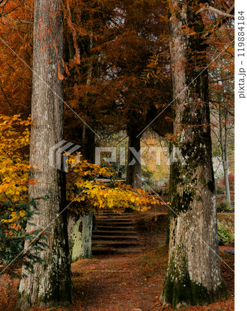 natural park with autumn colours natural park with autumn colours 119884184