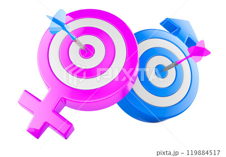 Female Target and Male Target with arrows in bullseyes, 3D rendering isolated on transparent background 119884517