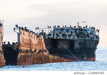 Shipwreck near the Californian coast 119884762