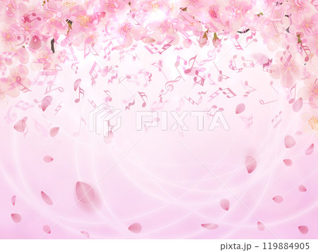 綺麗な桜の背景 119884905