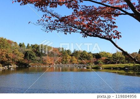 日本庭園の池をバックに映る紅葉 Momiji behind Japanese garden pond 119884956