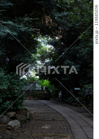 雨降る参道 119885036