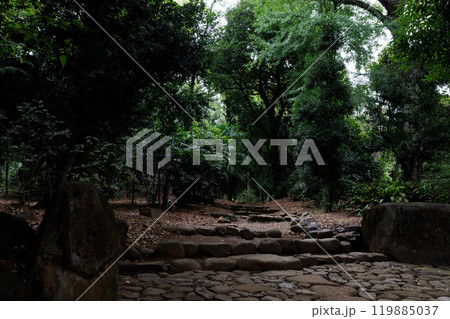 緑に囲まれた石の階段 119885037