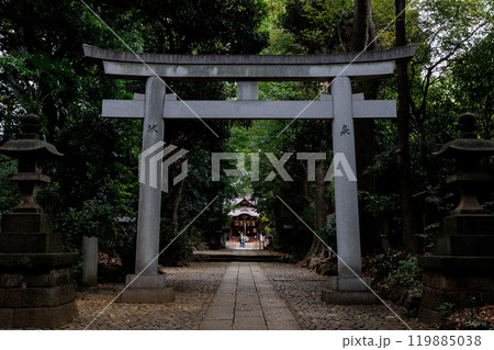 大きな鳥居その先に 119885038