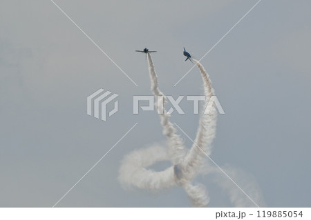 ブルーインパルス 119885054