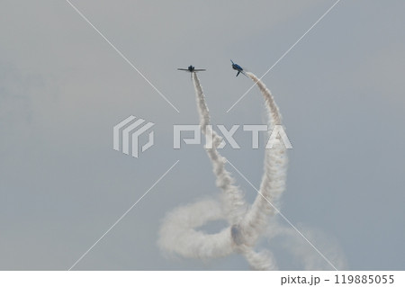 ブルーインパルス ブルーインパルス 119885055