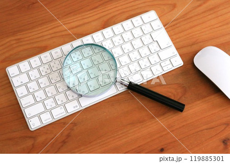 パソコンと虫メガネ　ウイルス対策　個人情報漏洩防止 119885301