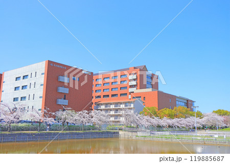 愛知県名古屋市、名古屋学院大学と満開の桜の風景 119885687