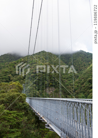 渓谷にかかる大吊橋 119886722