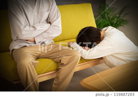 家のリビングで喧嘩をするミドル〜シニア夫婦 119887203