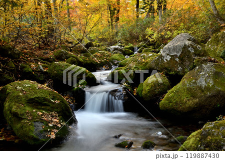 苔むす岩と小滝 119887430