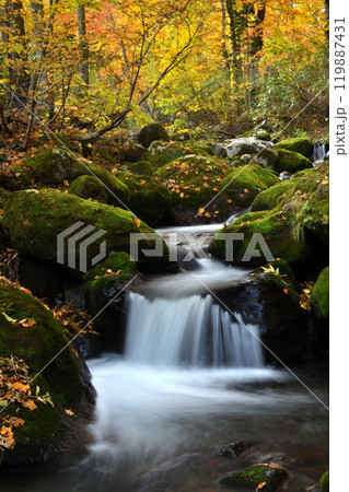 美しき小滝 119887431