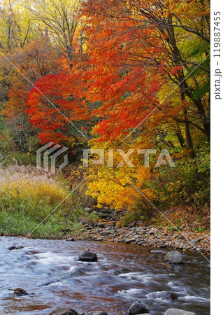 渓流と紅葉 渓流と紅葉 119887455