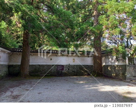 飫肥城 しあわせ杉 飫肥城 しあわせ杉 119887697