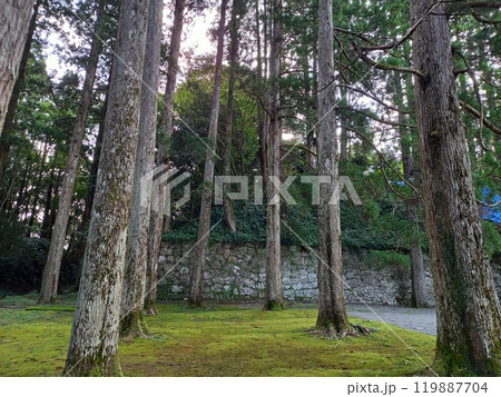 飫肥城 土塁近くの石垣 飫肥城 土塁近くの石垣 119887704