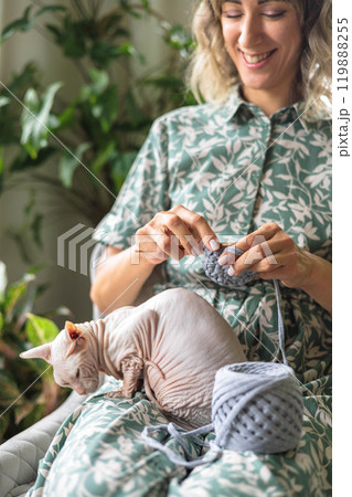 A young beautiful smiling girl crochets from gray yarn and strokes a sphinx cat. 119888255