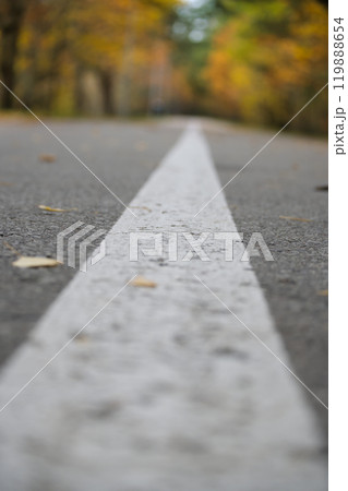 Autumn Road with White Line in Forest Setting Autumn Road with White Line in Forest Setting 119888654