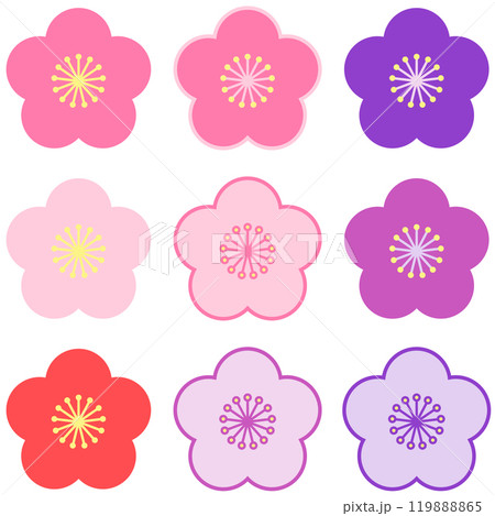9種類の梅の花 119888865