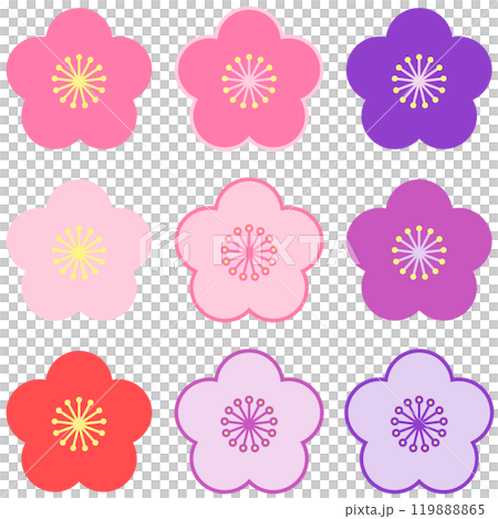 9種類の梅の花 119888865