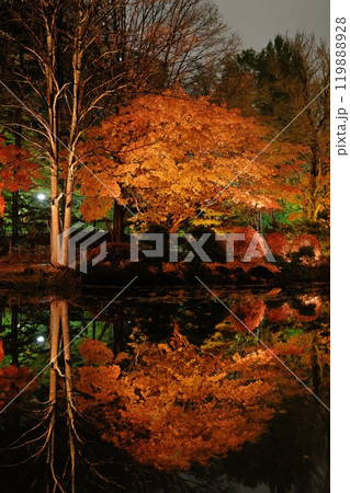 水面に映る紅葉 水面に映る紅葉 119888928