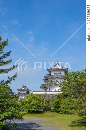 初夏の伊賀上野城（三重県伊賀市） 119889081